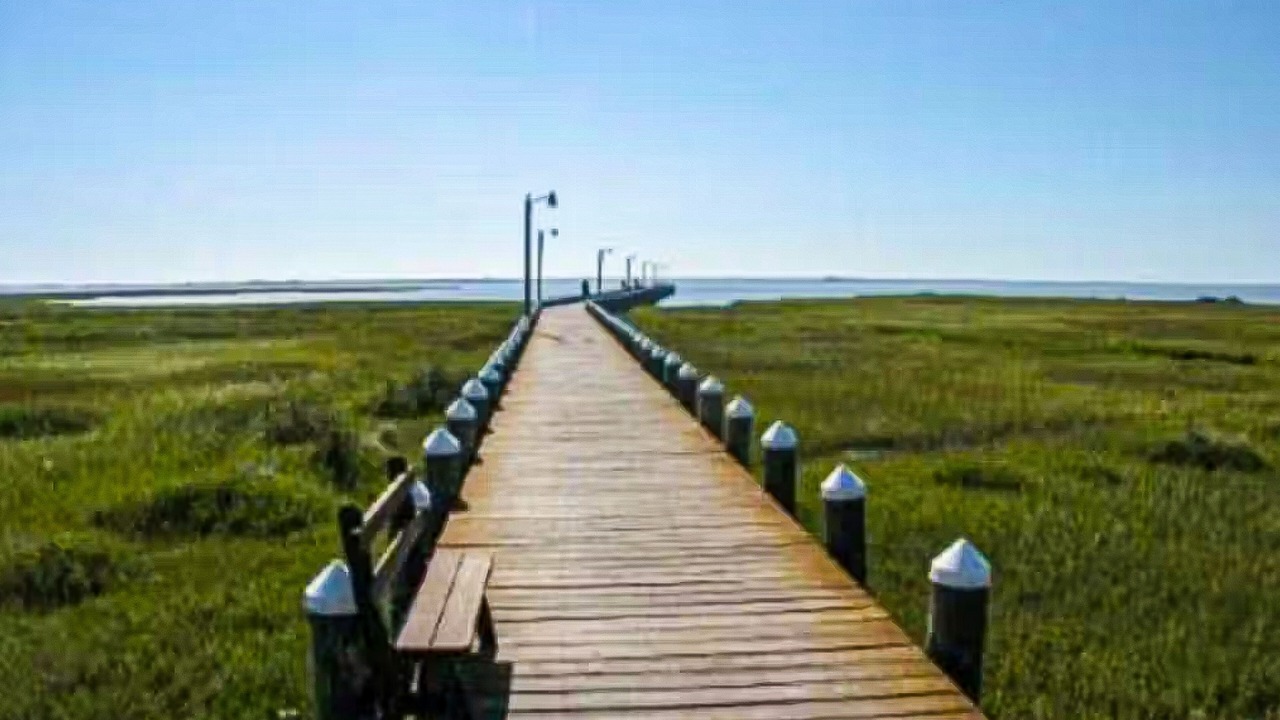 Photo of Outdoor in Assateague Pointe
