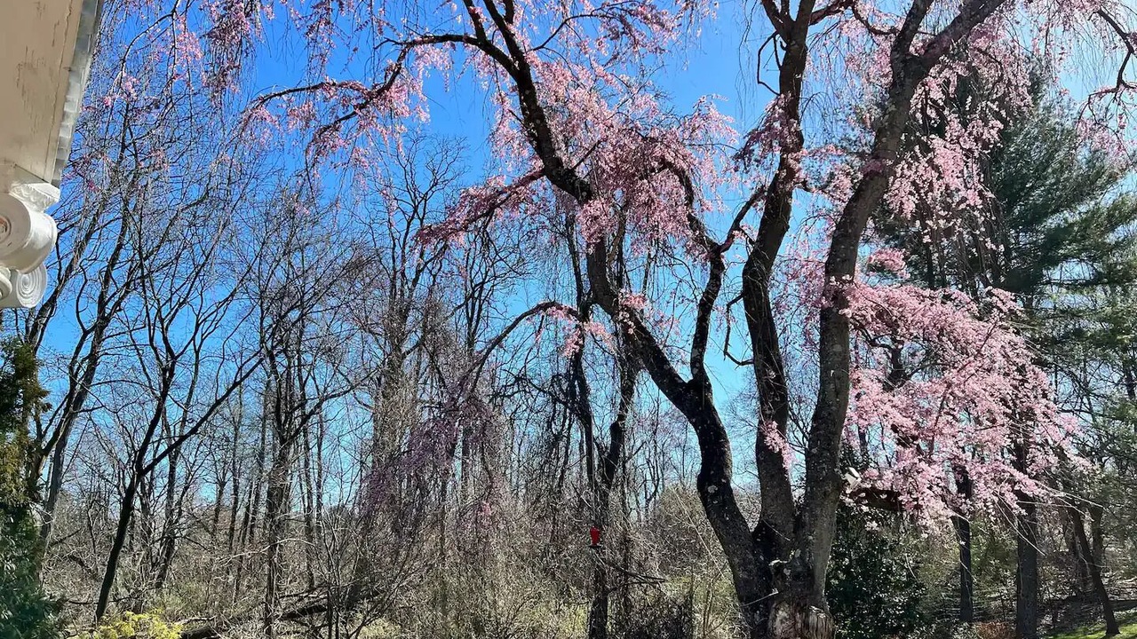 Photo of Others in Princeton