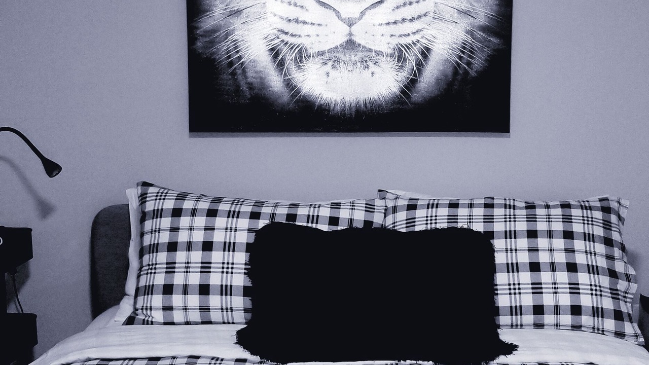 Photo of Bedroom in North Bergen
