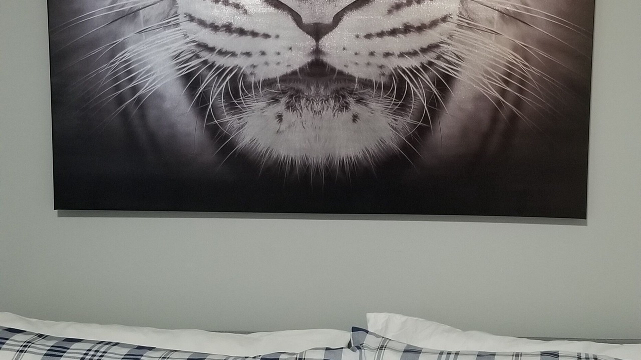 Photo of Bedroom in North Bergen