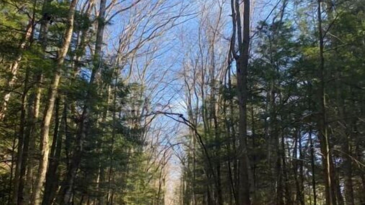 Photo of Outdoor in Woodridge