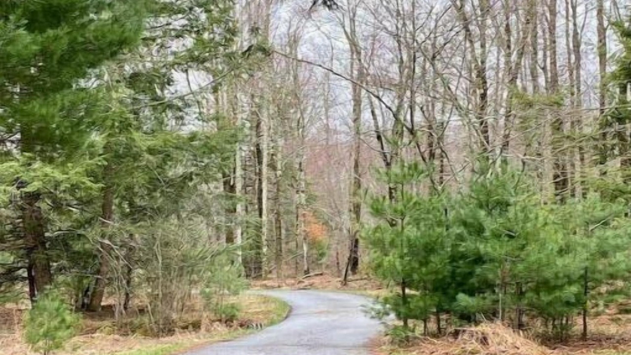 Photo of Outdoor in Woodridge