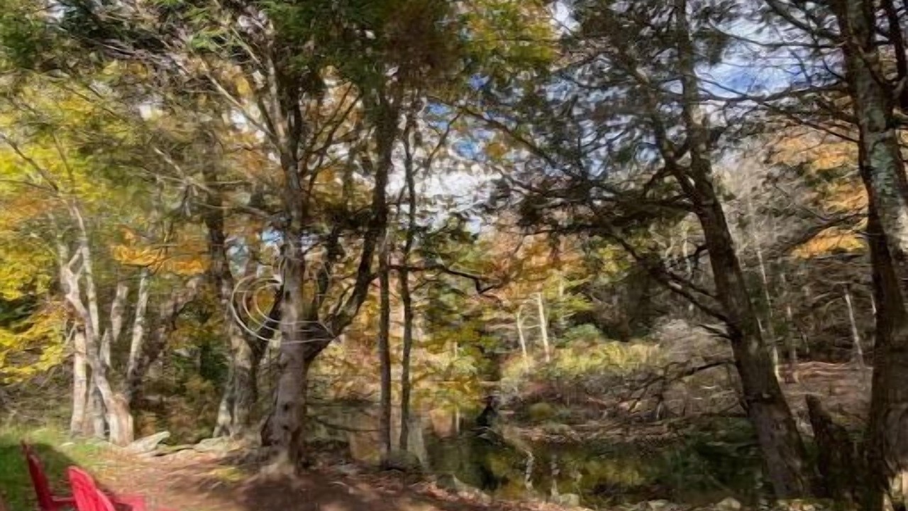 Photo of Outdoor in Woodridge