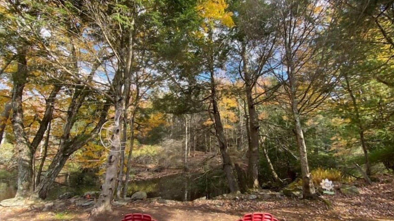 Photo of Outdoor in Woodridge