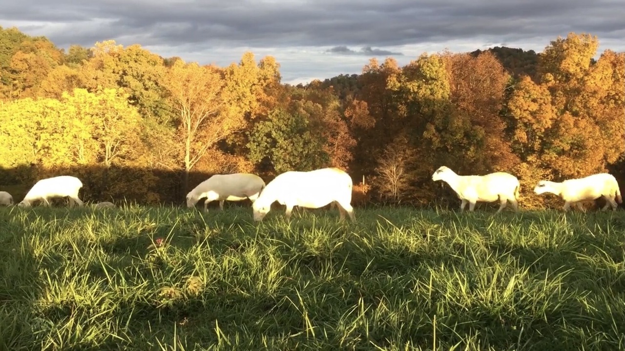 Photo of Outdoor in Strange Creek