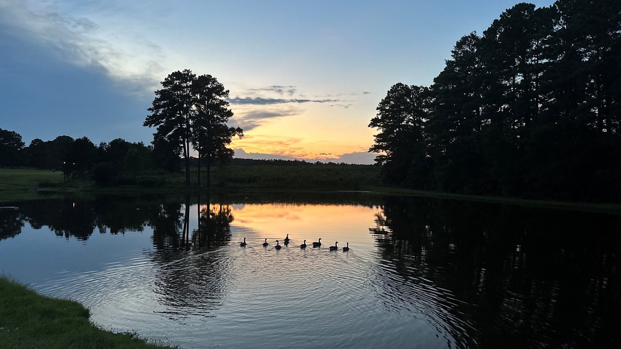 Photo of Outdoor in Carthage