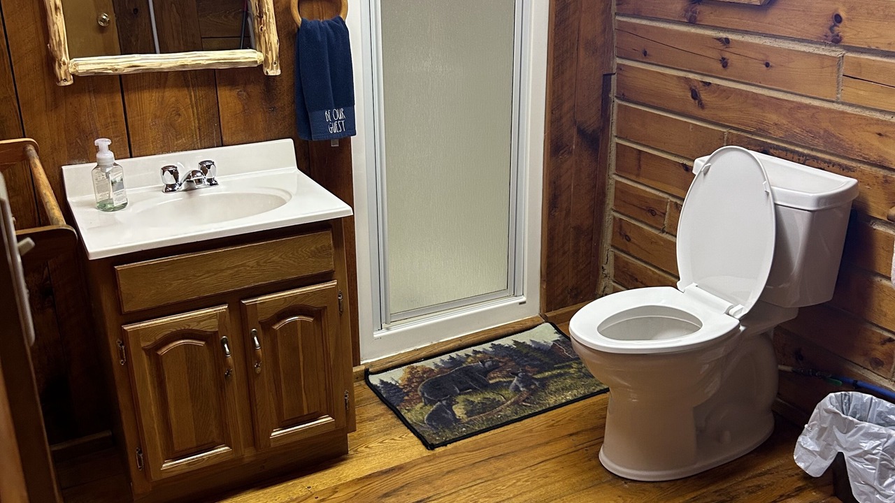 Photo of Bathroom in Limestone