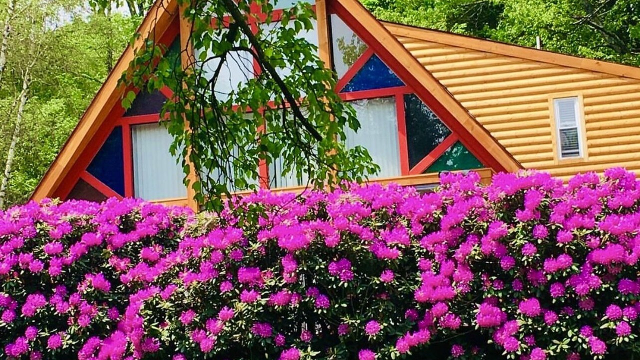 Photo of Outdoor in White Haven