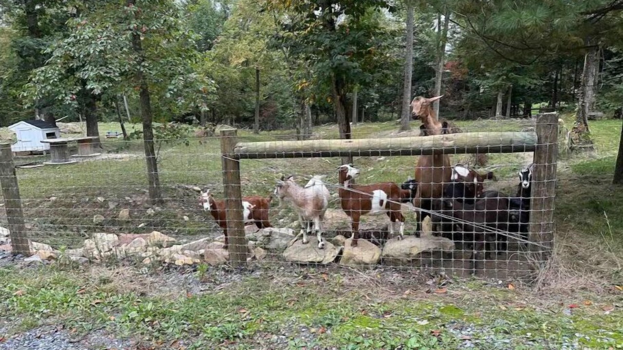 Photo of Outdoor in Grantville