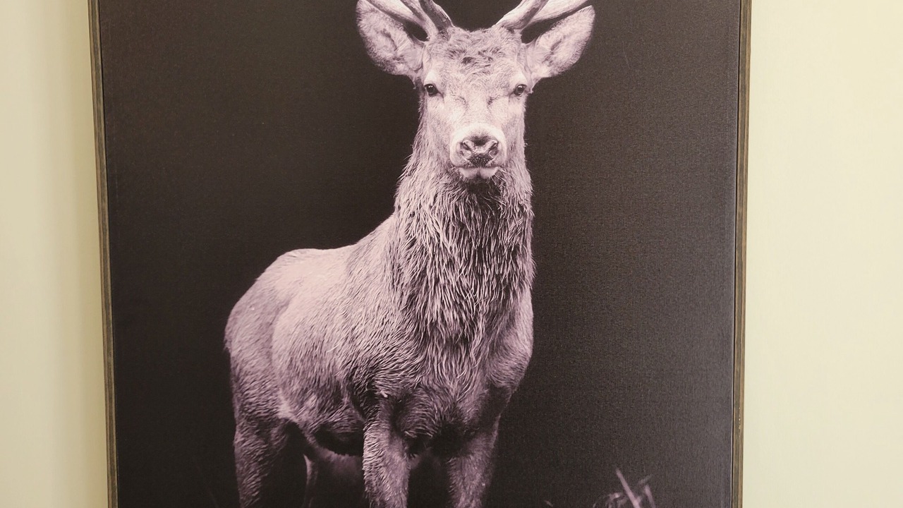Photo of Others in Kerr