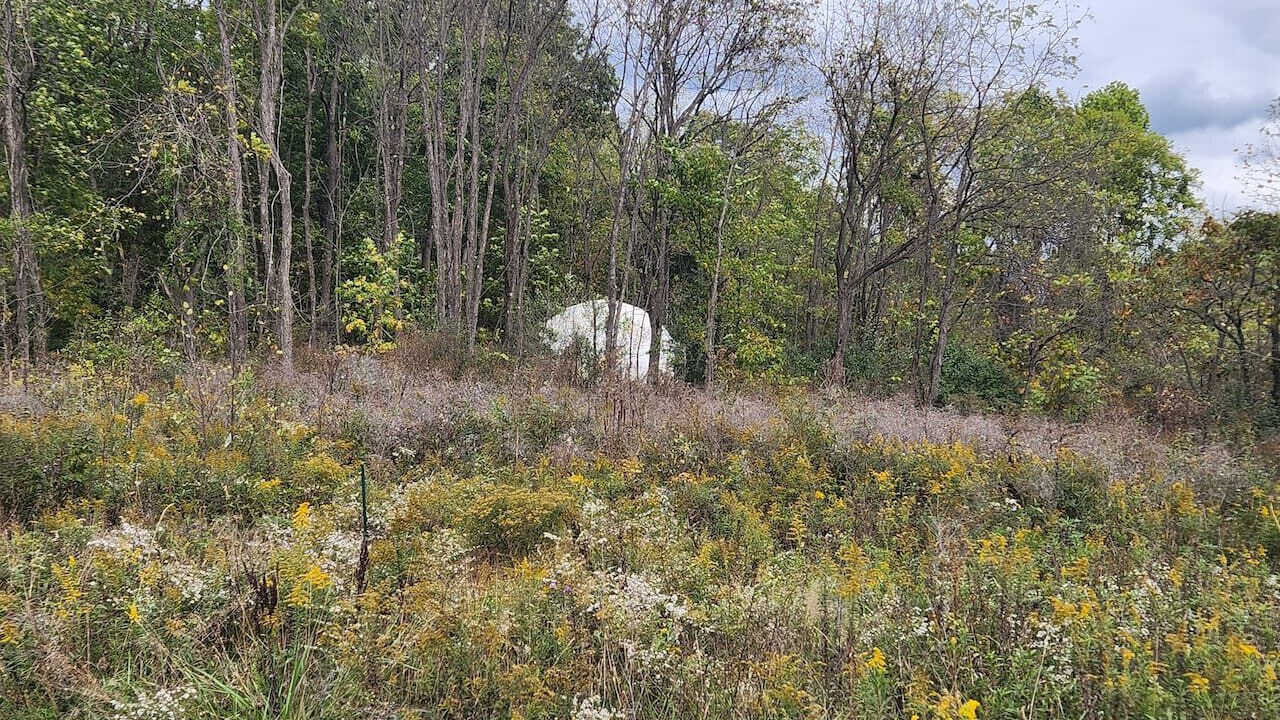 Photo of Others in Carbon Hill