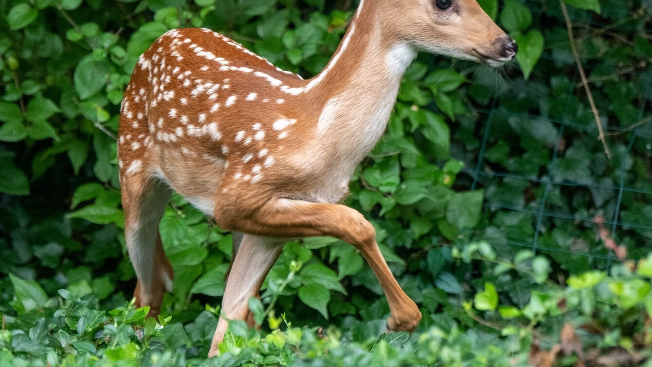 Photo of Others in Hidden Lake