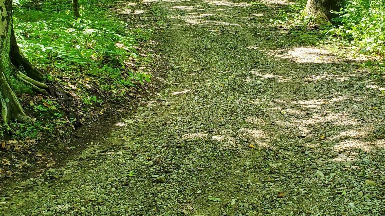 Photo of Outdoor in Rockbridge