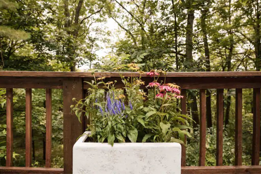Photo of Outdoor in Mill Hall
