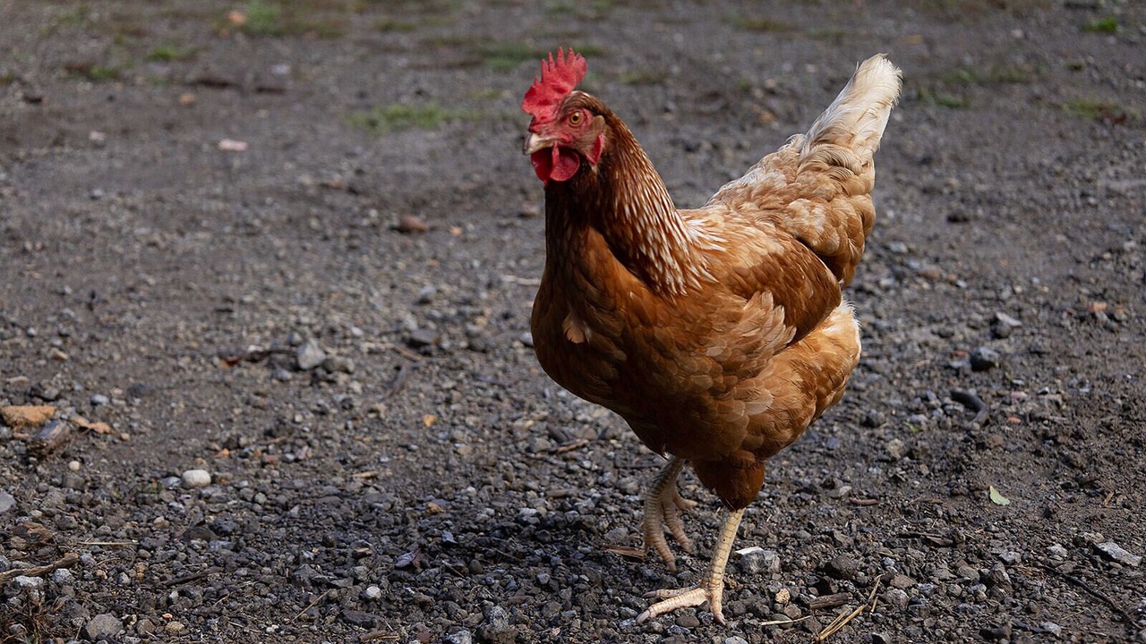 Photo of Others in Waynesburg