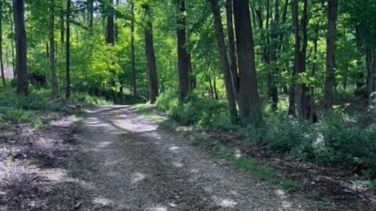 Photo of Others in Butler