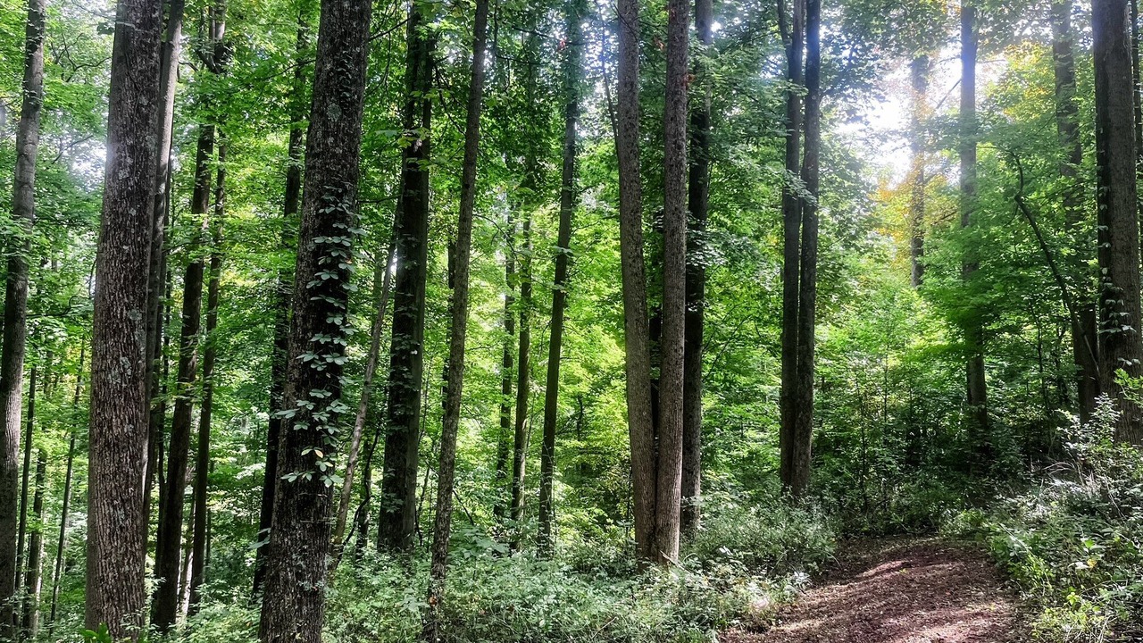 Photo of Outdoor in Butler