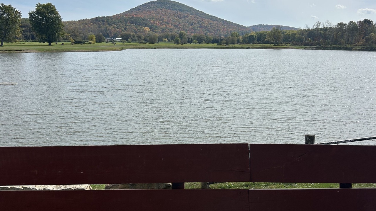 Photo of Outdoor in Limestone