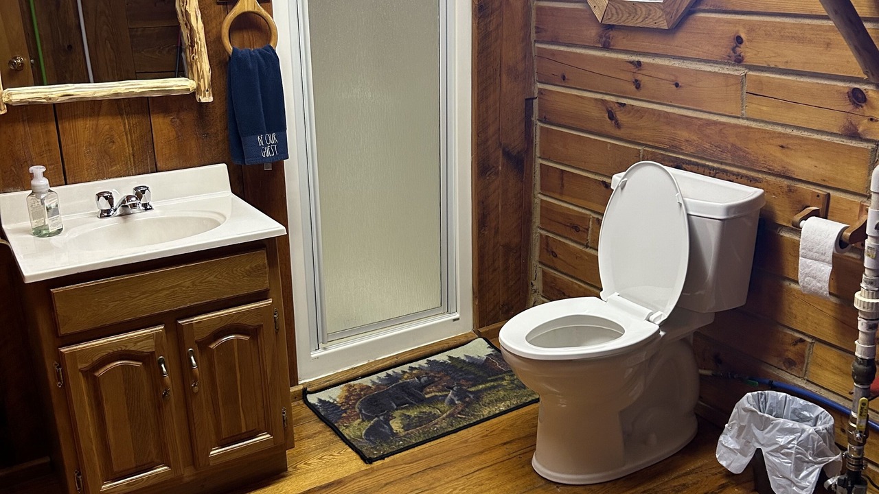 Photo of Bathroom in Limestone