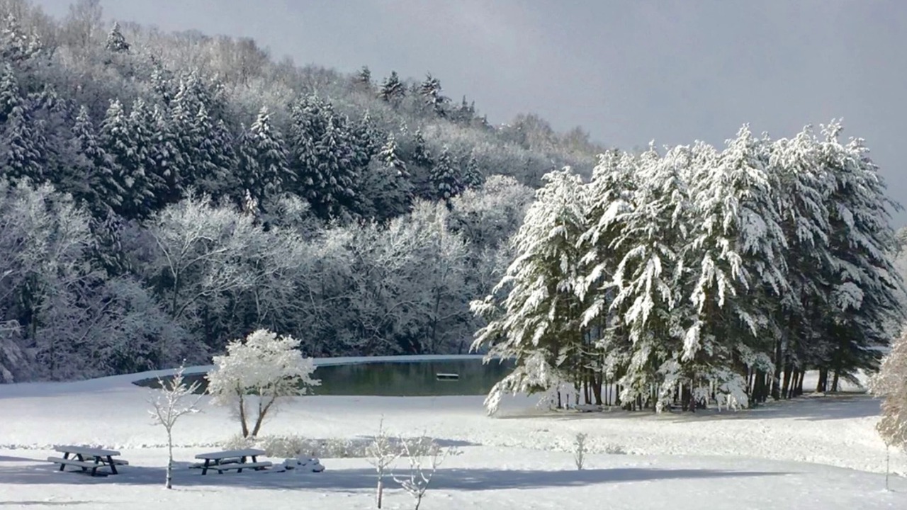 Photo of Outdoor in Fishertown