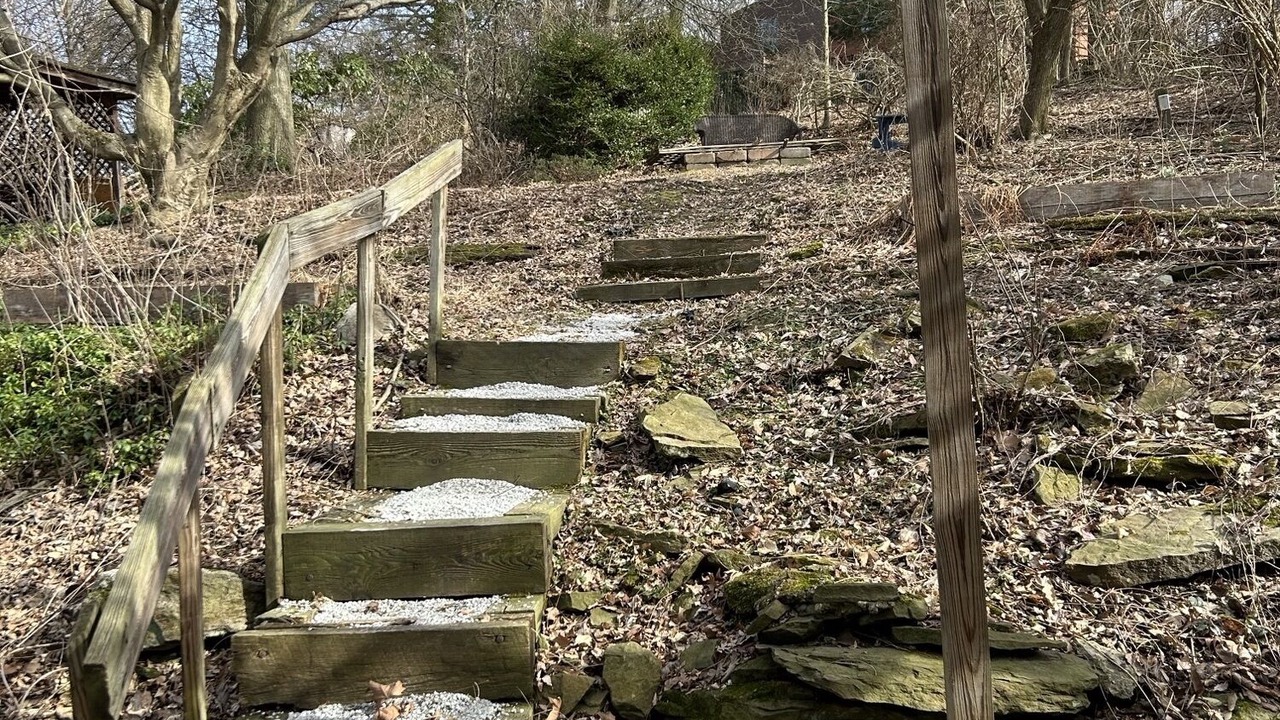 Photo of Outdoor in Forest Hills