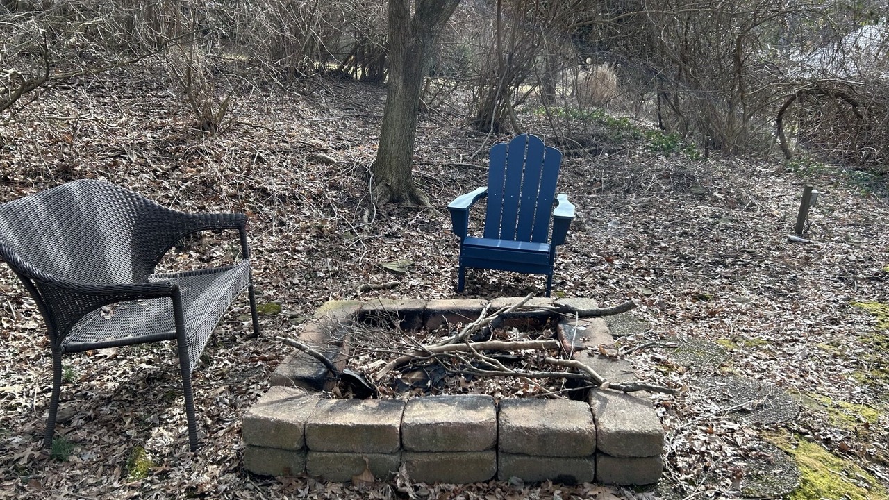 Photo of Outdoor in Forest Hills