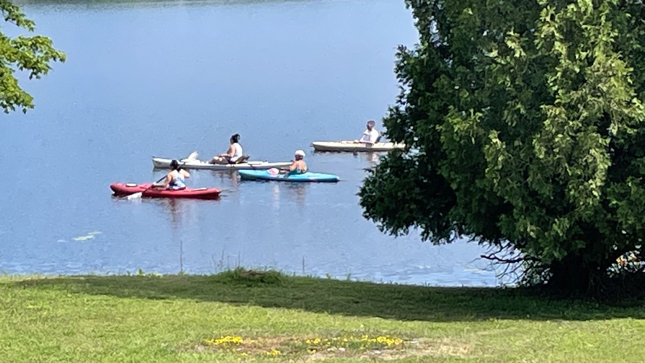 Photo of Others in Carlton