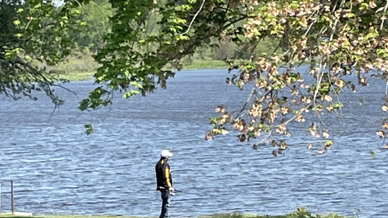Photo of Others in Carlton