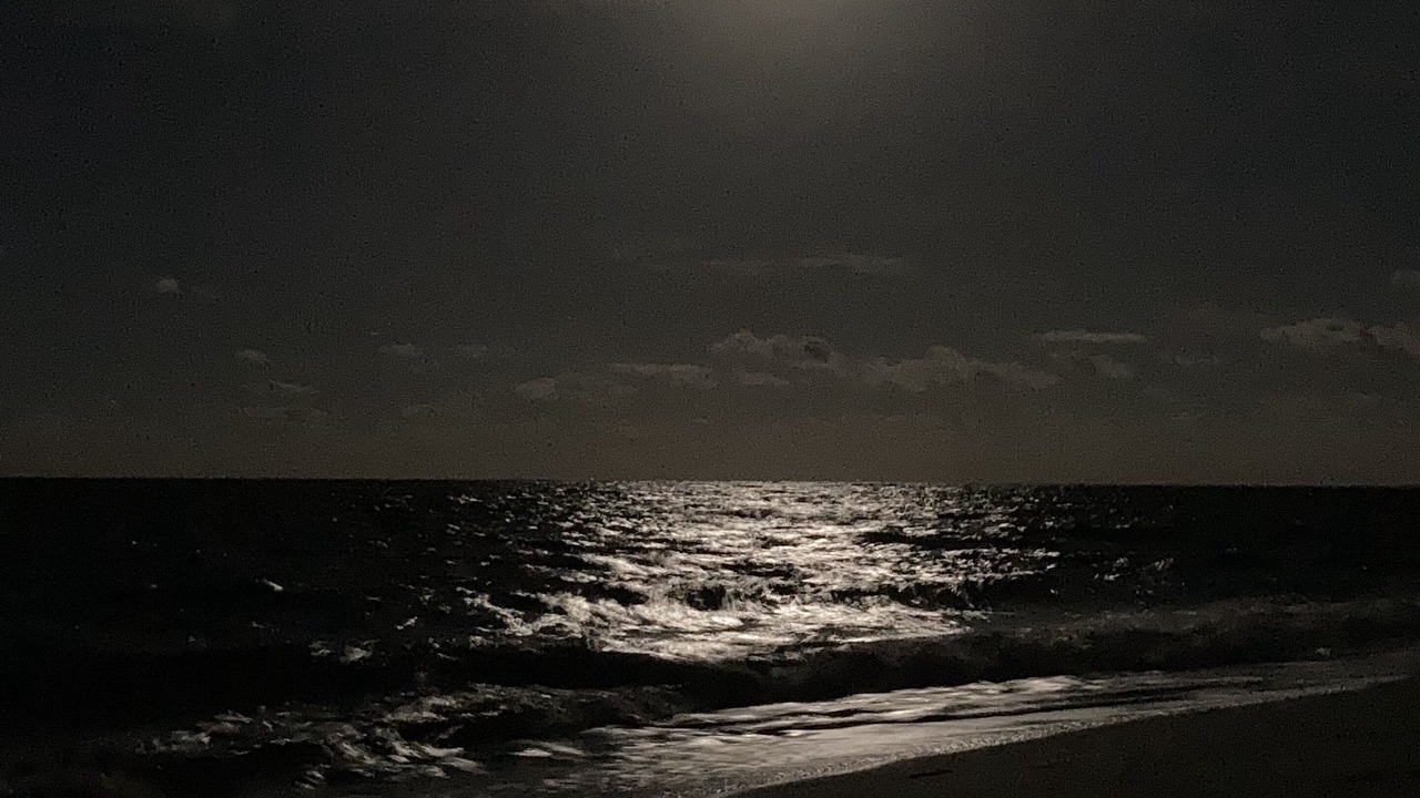 Photo of Others in Prime Hook Beach