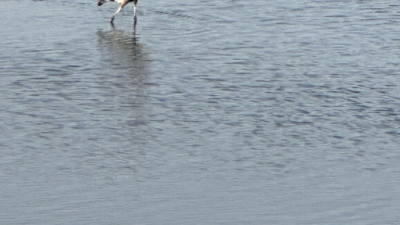Photo of Outdoor in Prime Hook Beach