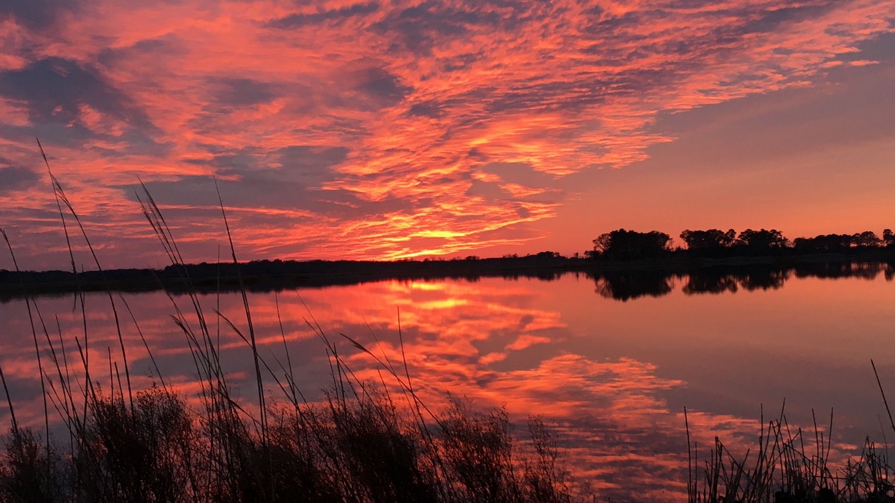 Photo of Outdoor in Prime Hook Beach