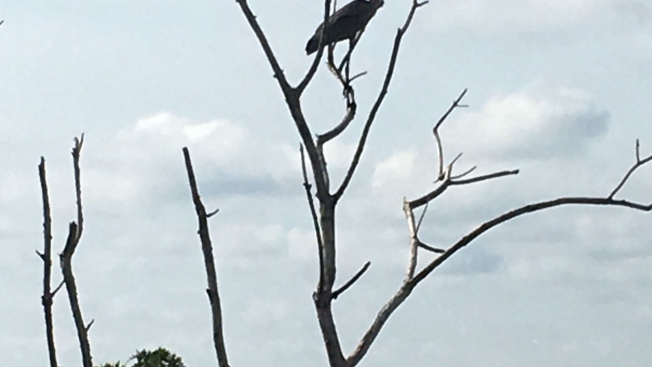 Photo of Outdoor in Prime Hook Beach