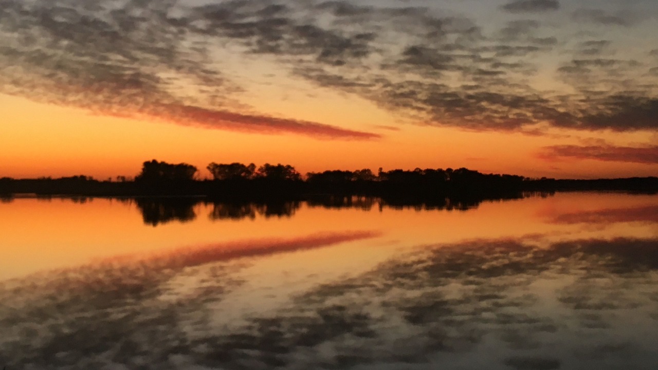 Photo of Others in Prime Hook Beach
