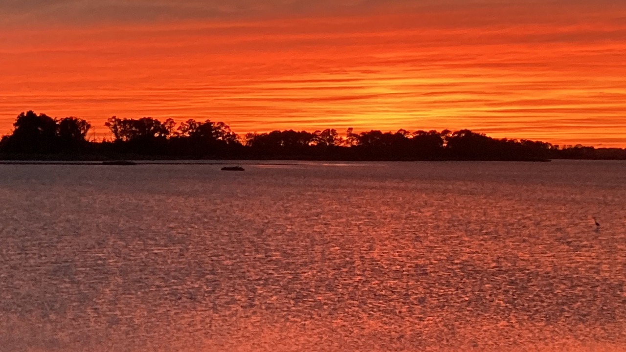 Photo of Others in Prime Hook Beach