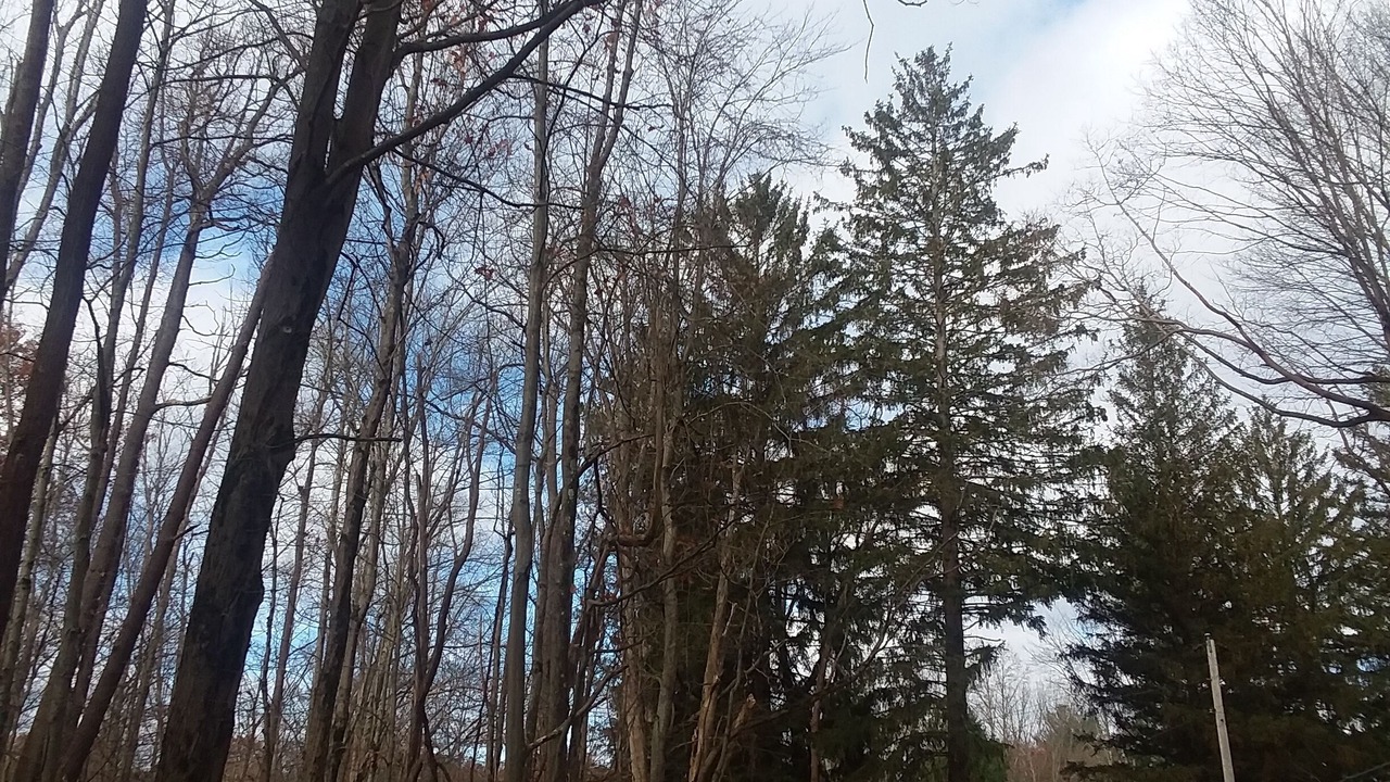 Photo of Outdoor in Austinburg