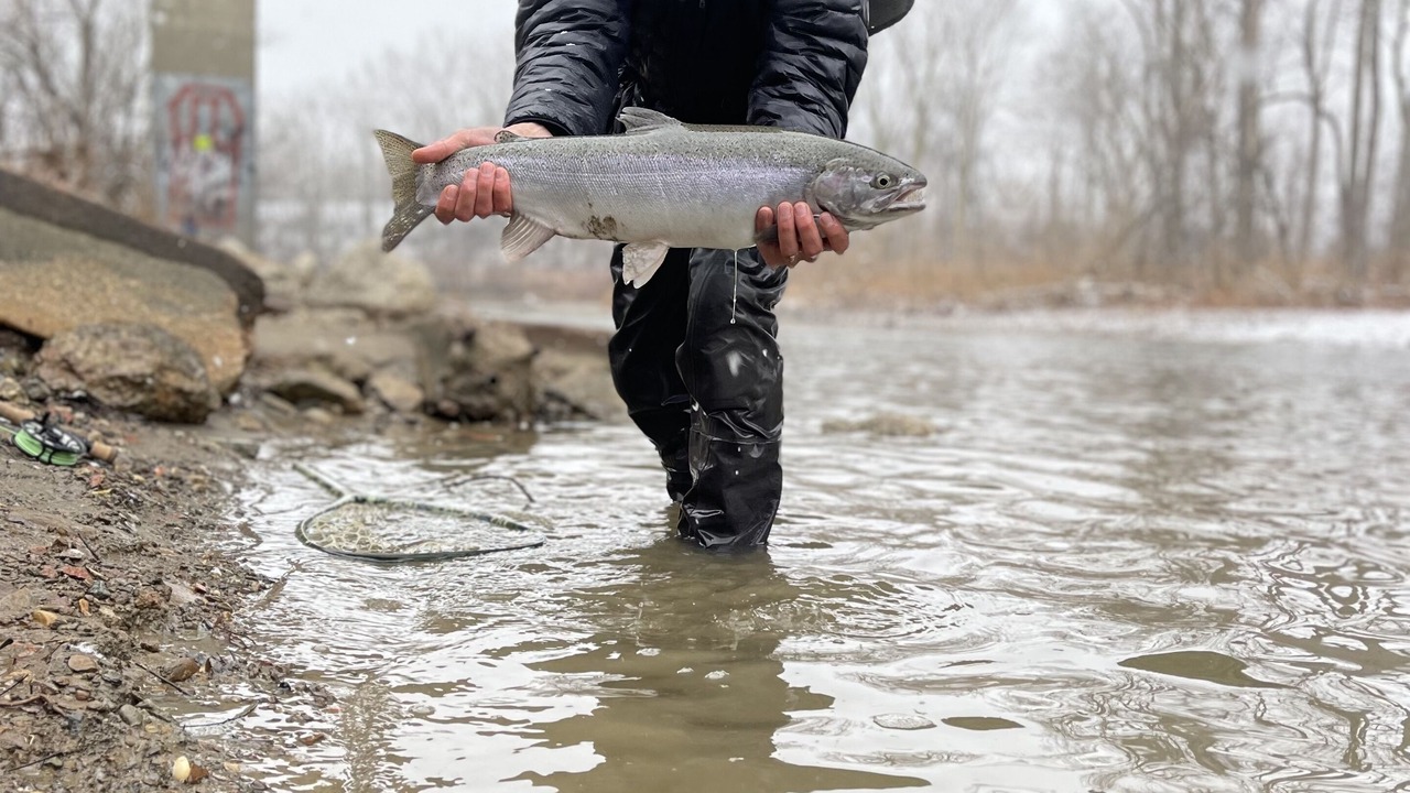 Photo of Others in Austinburg