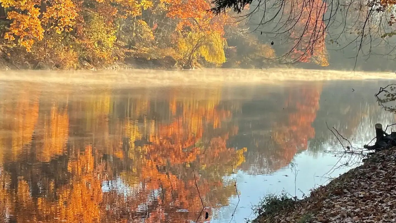 Photo of Others in Austinburg