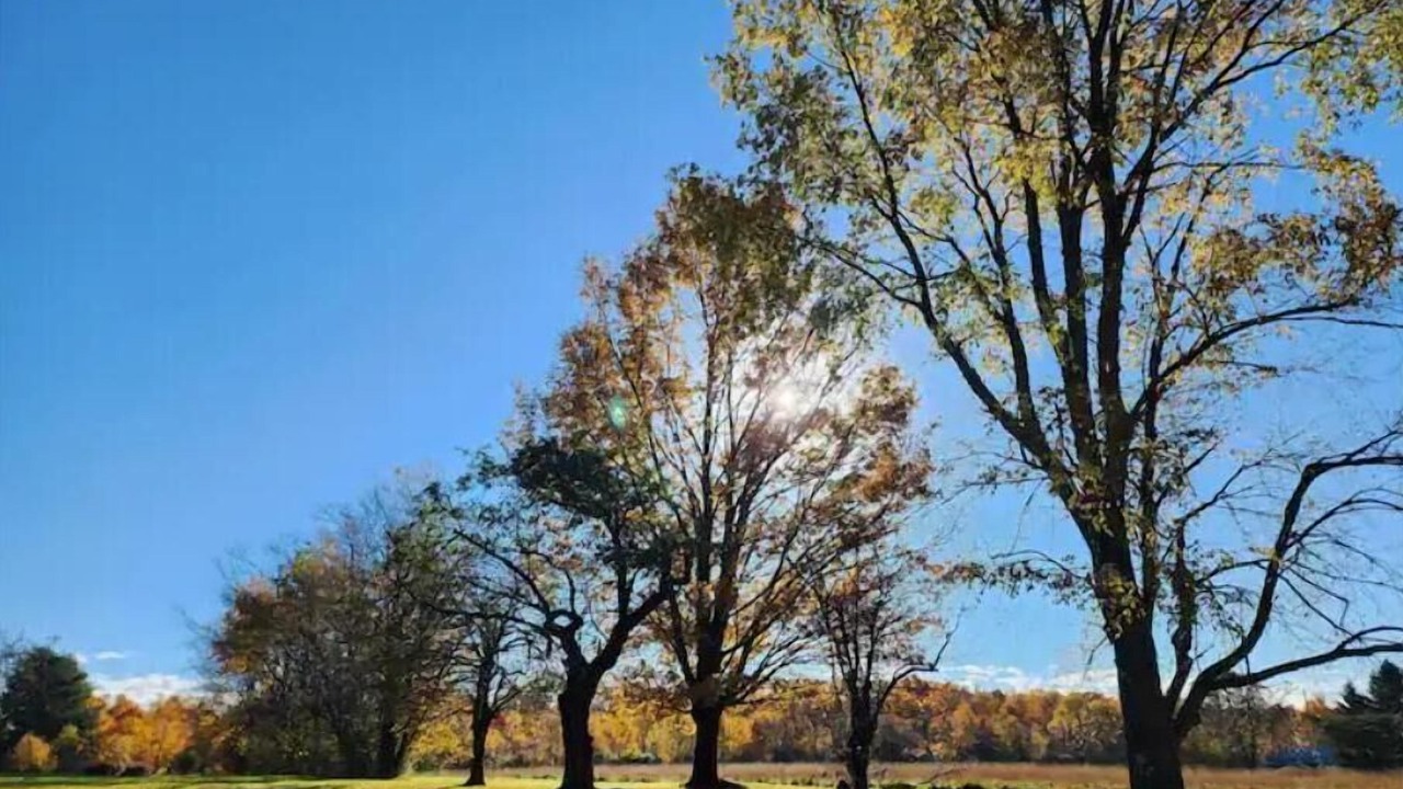 Photo of Others in Thompson