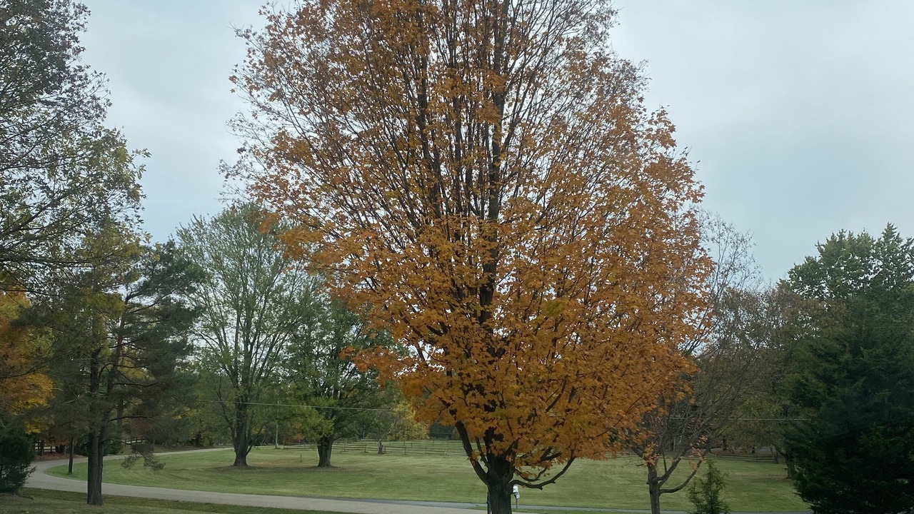 Photo of Outdoor in Granville South