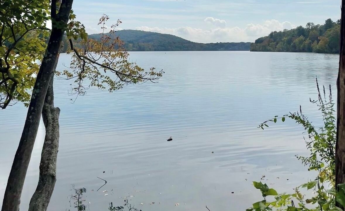 Photo of Others in Lake Carmel
