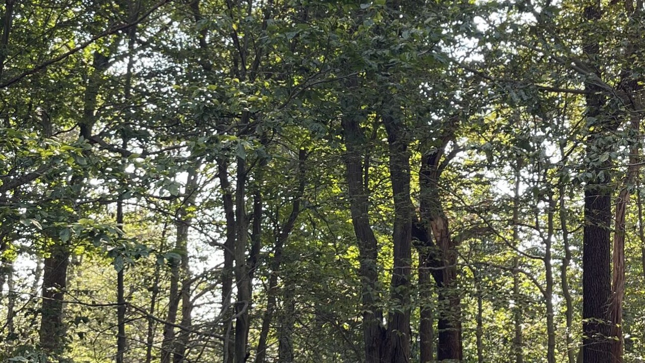 Photo of Others in Tobyhanna