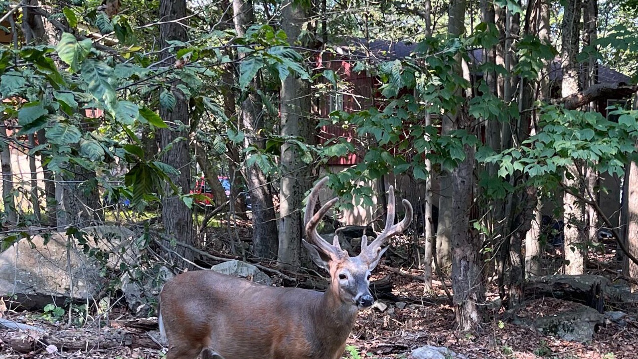 Photo of Others in Tobyhanna