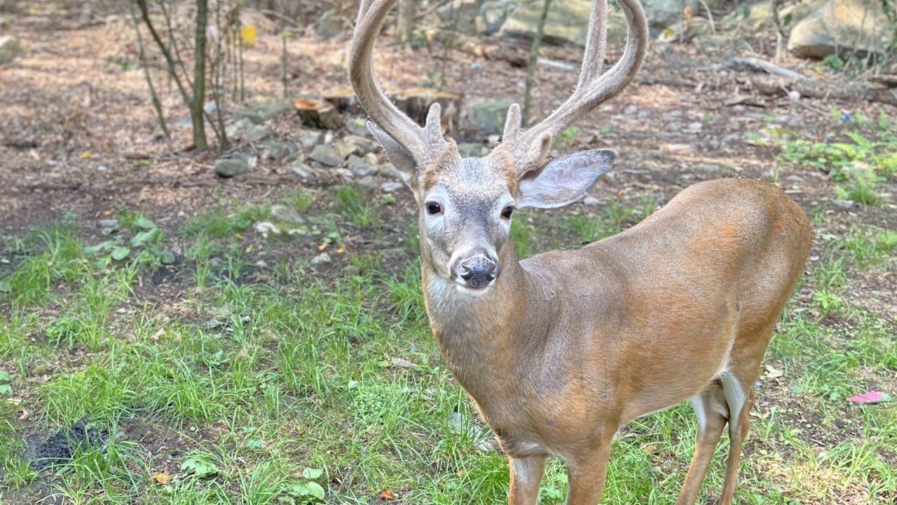 Photo of Others in Tobyhanna