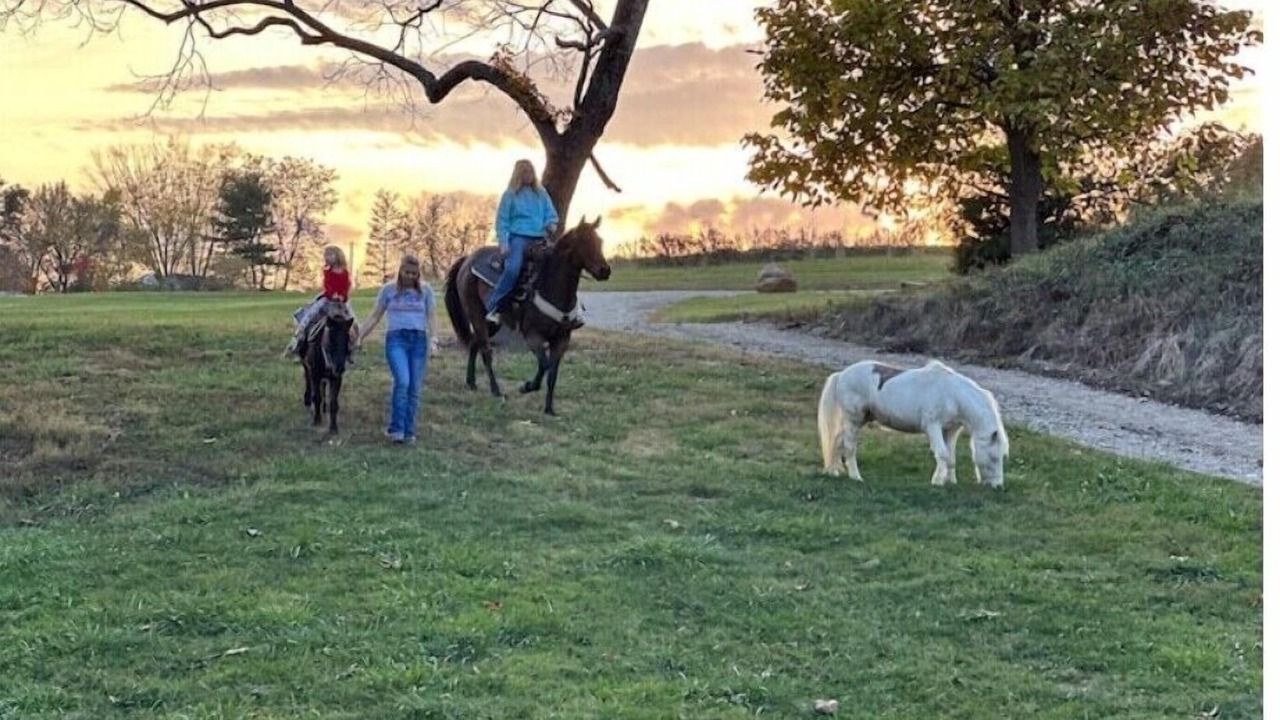 Photo of Others in Chillicothe