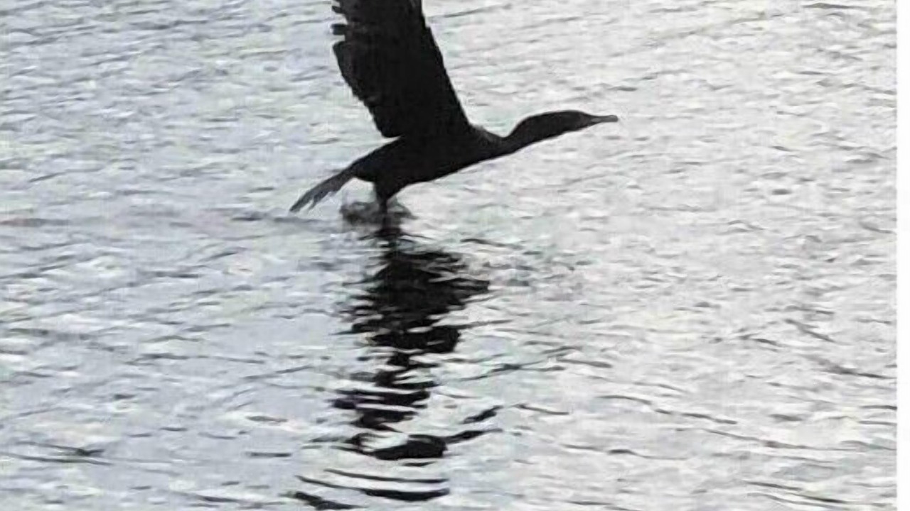 Photo of Others in West Milford