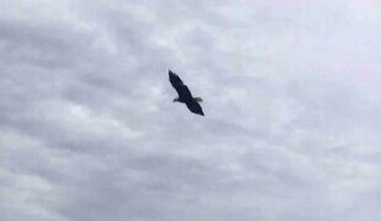 Photo of Others in West Milford
