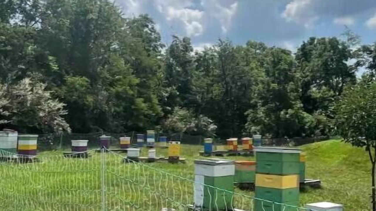 Photo of Outdoor in Ridgeway