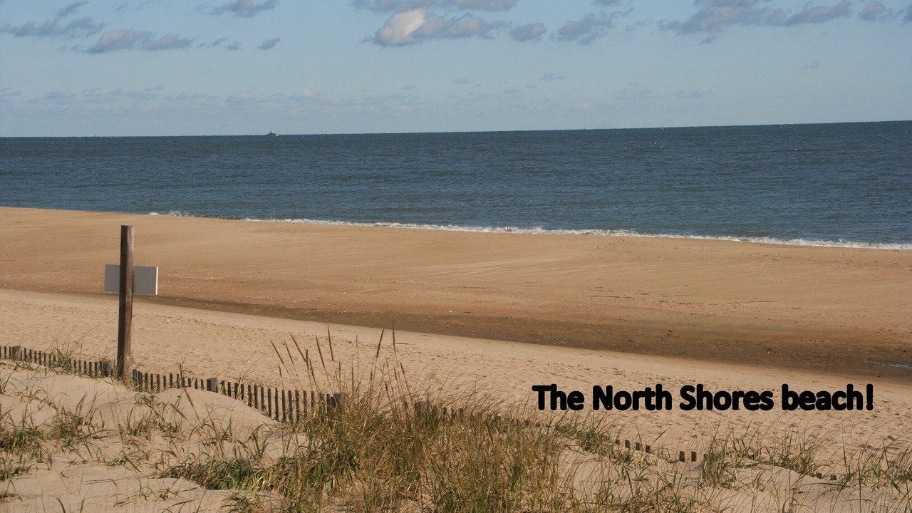 Photo of Others in North Shores