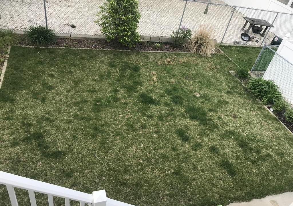 Photo of Outdoor in Sea Isle City
