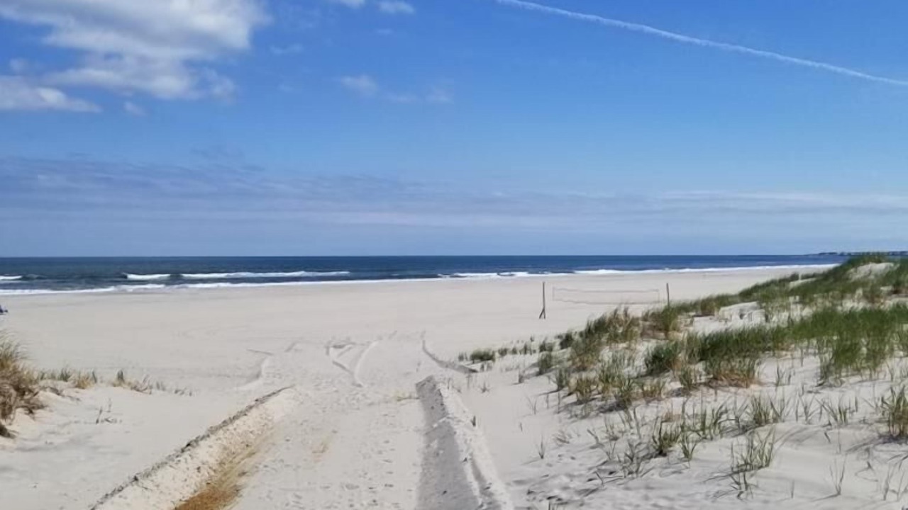 Photo of Others in Sea Isle City
